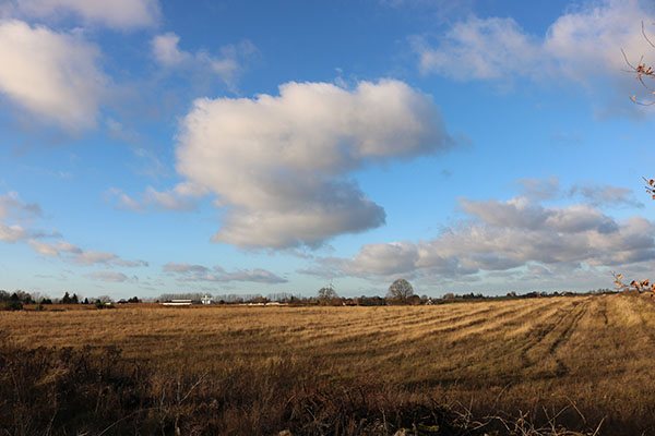 Potentielle Photovoltaikfläche?